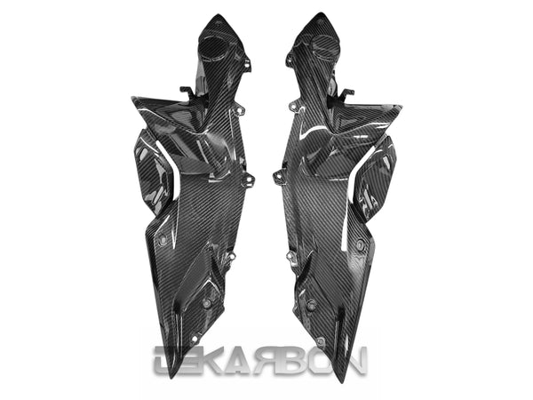 2015 - 2018 BMW R1200RS Carbon Fiber Side Fairing Panels