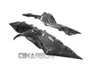 2015 - 2018 BMW R1200RS Carbon Fiber Side Fairing Panels