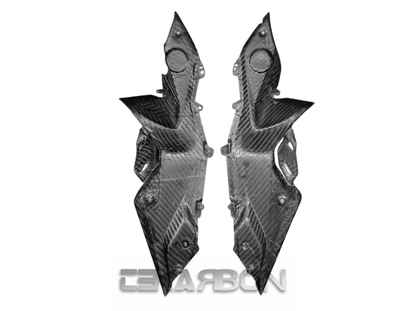 2015 - 2018 BMW R1200RS Carbon Fiber Side Fairing Panels