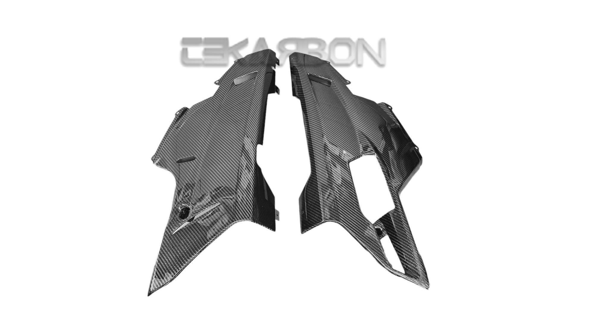 Tekarbon :: 2007 - 2012 Ducati 1198 1098 848 Carbon Fiber Lower