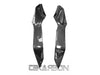 2021 - 2025 Kawasaki Z-H2 Carbon Fiber Side Tank Panels