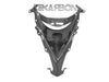 2008 - 2009 Kawasaki ZX10R Carbon Fiber Nose Fairing
