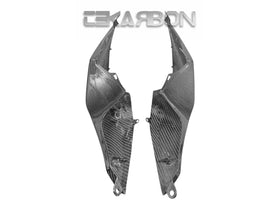 ZX10R (2010) | Tekarbon