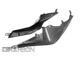 ZX10R (2010) | Tekarbon