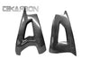 2011 - 2015 Kawasaki ZX10R Carbon Fiber Swingarm Covers