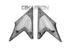 2008 - 2010 Triumph Speed Triple Carbon Fiber Side Tank Panels