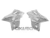 2011 - 2013 Yamaha FZ08 Carbon Fiber Front Side Panels