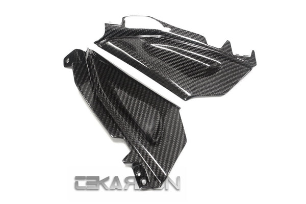 2015 - 2016 BMW F800R Carbon Fiber Front Side Tank Panels