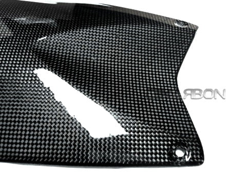 2005 - 2012 BMW K1200R K1300R Carbon Fiber Center Tank Cover