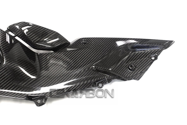 2015 - 2018 BMW R1200RS Carbon Fiber Side Fairing Panels