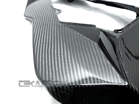 2009 - 2011 BMW S1000RR Carbon Fiber Tail Fairing