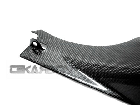 2003 - 2010 Buell XB Carbon Fiber Air Intake Cover LH