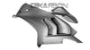 2020 - 2021 Ducati Panigale V4S / V4R Carbon Fiber Large Side Fairings (Matte only)