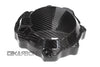 2016 - 2020 Kawasaki ZX10R Carbon Fiber Engine Cover LH